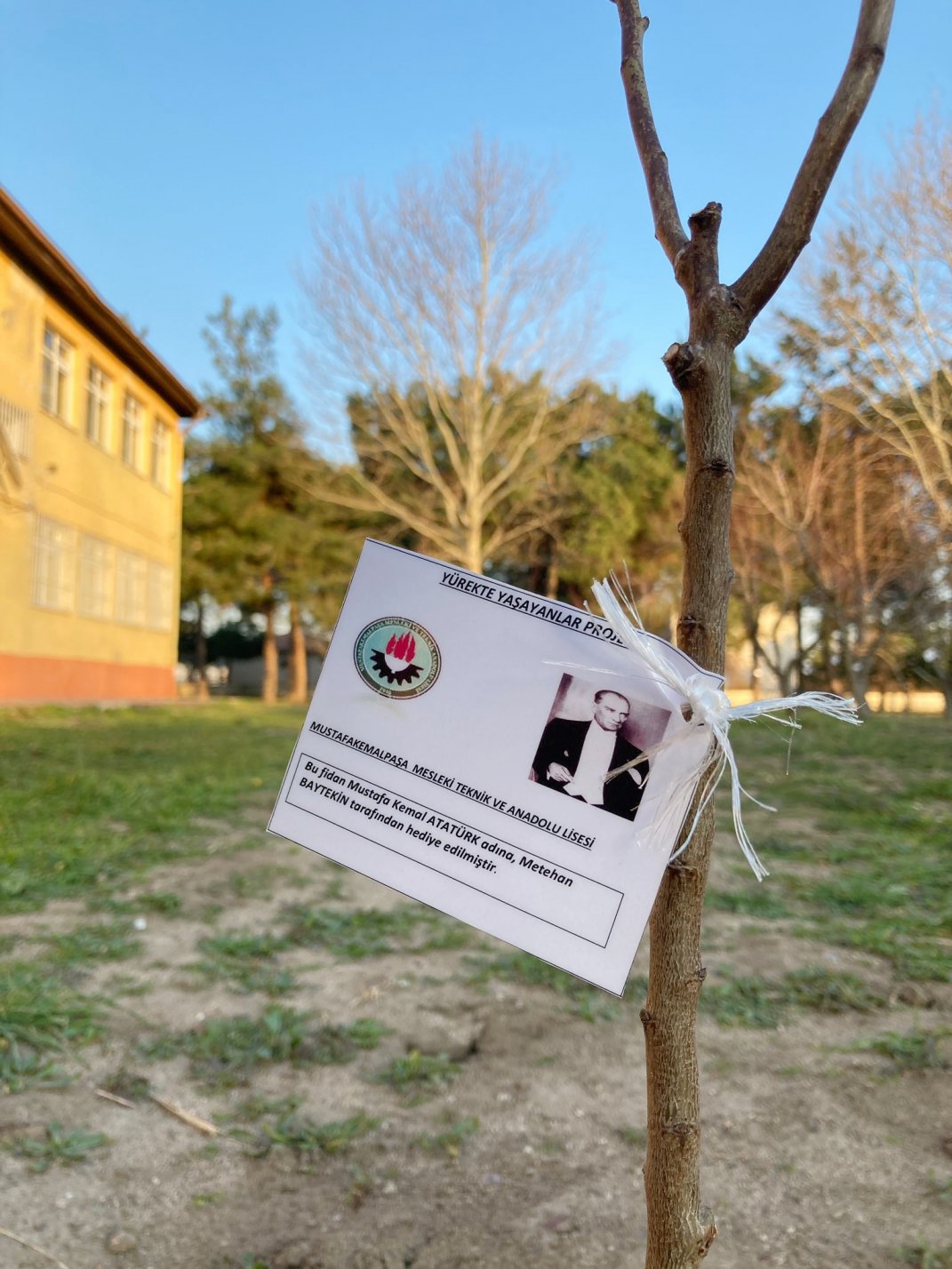 YÜREKTE YAŞAYANLAR FİDAN OLDU