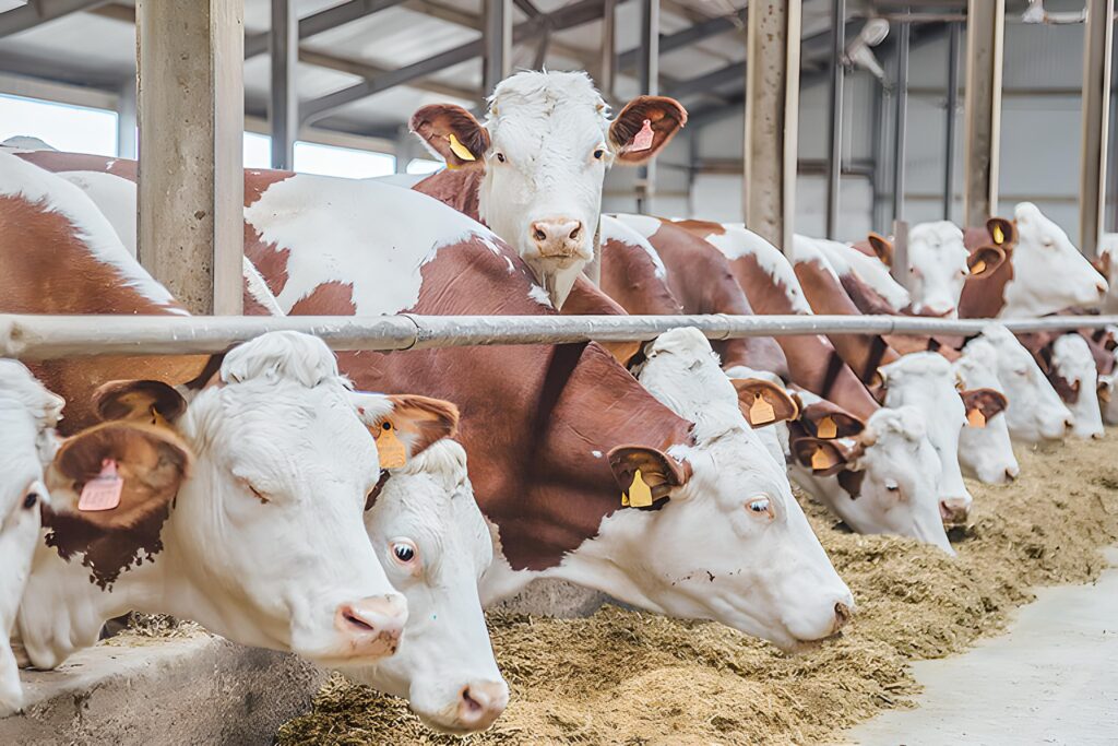 HAYVAN HASTALIKLARINDA TAZMİNAT DEĞİŞİKLİĞİ