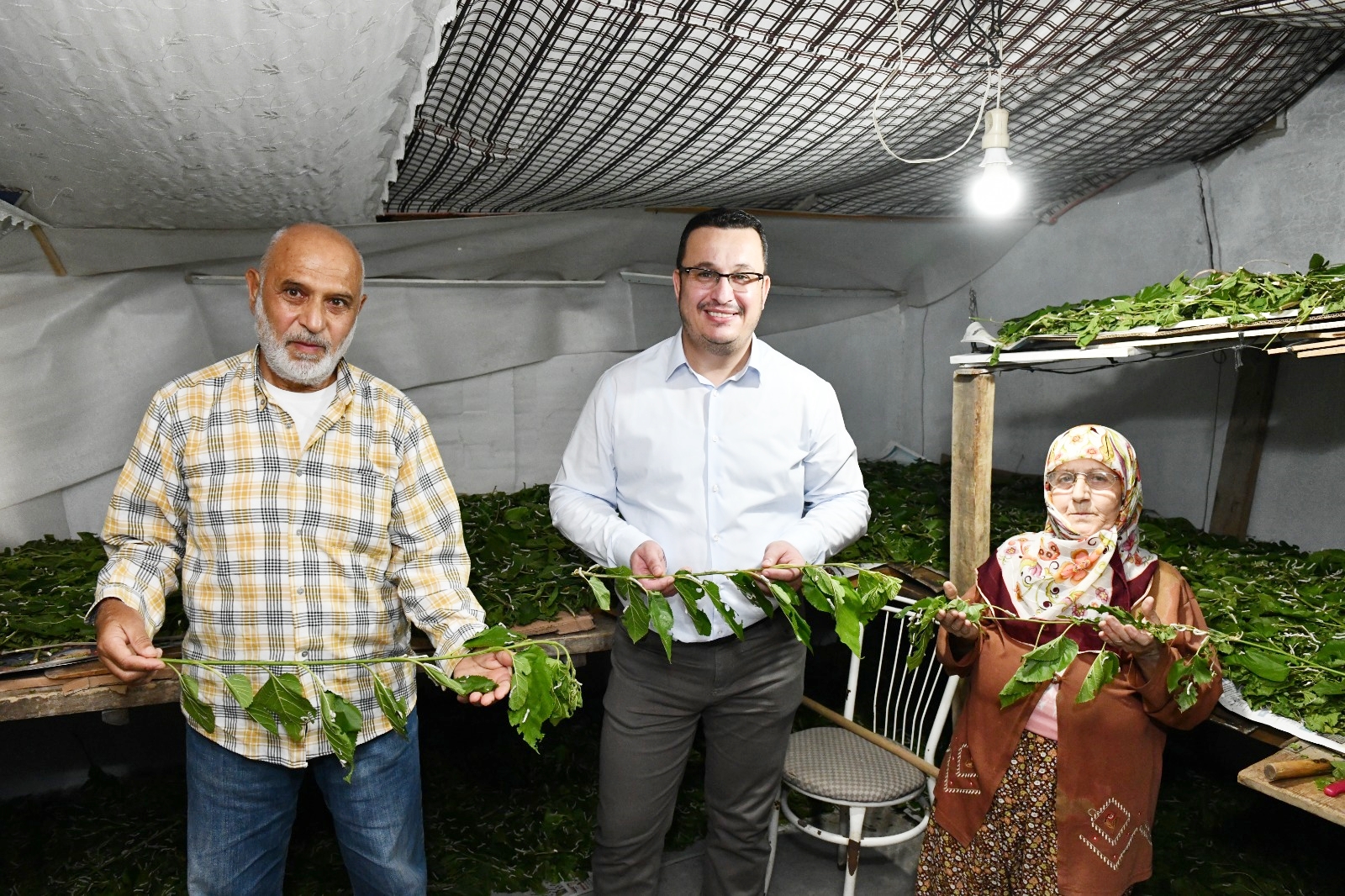 İPEK BÖCEKÇİLİĞİNE LARVA DESTEĞİ