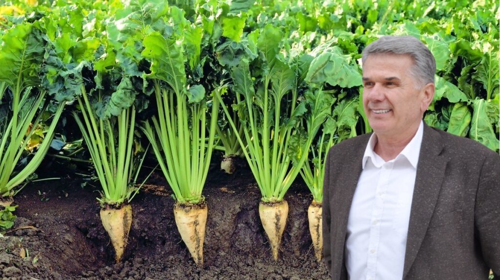 PANCAR EKEN ÇOK KAZANACAK