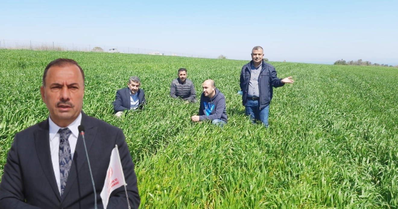 SÜNE MÜCADELESİ BAŞLADI