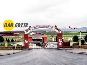 TJK, ATÇILIK SEKTÖRÜNE YENİ BİR MESLEK KAZANDIRIYOR