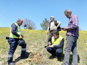 ÜRETİCİYE BAMYA TOHUMU