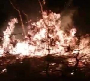 YANGINA DÖRT KOLDAN MÜDAHALE