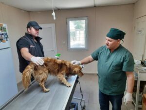 ŞANSLI, SAHİBİNİ BEKLİYOR