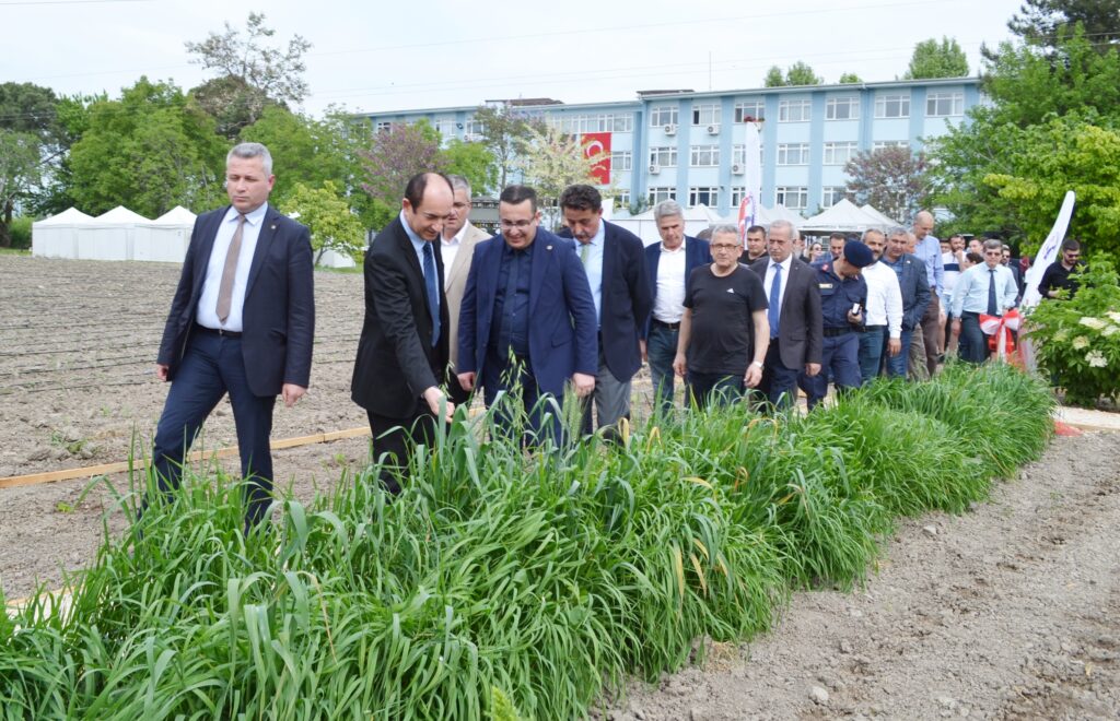 TIBBİ AROMATİK BİTKİ BAHÇESİ DEĞER KATACAK