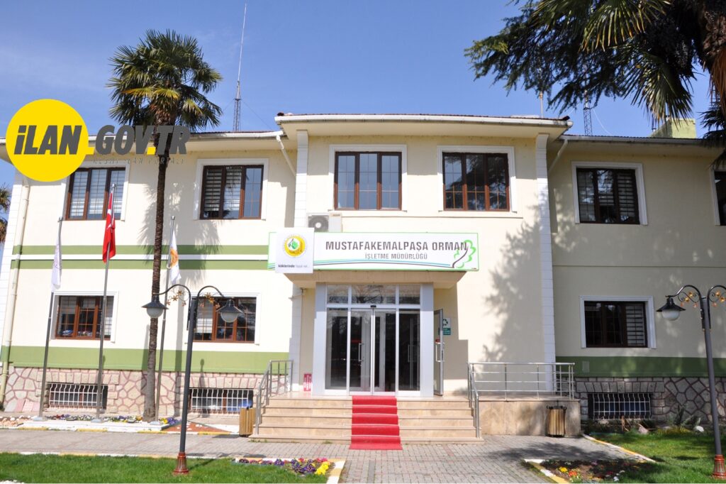 B TİPİ ORMAN YOLU YAPTIRILACAK