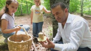 AYI VE SARIKIZ MANTARI DÜNYAYA LEZZET KATIYOR
