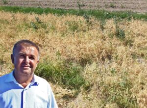 BEZELYE ÜRETİCİSİ ŞOKTA