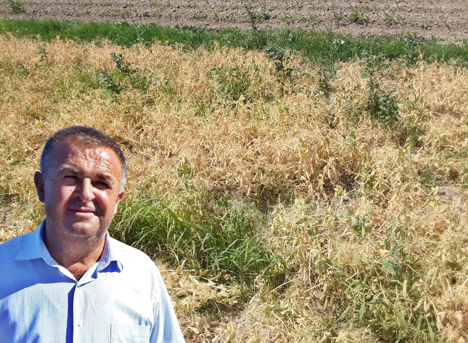 BEZELYE ÜRETİCİSİ ŞOKTA