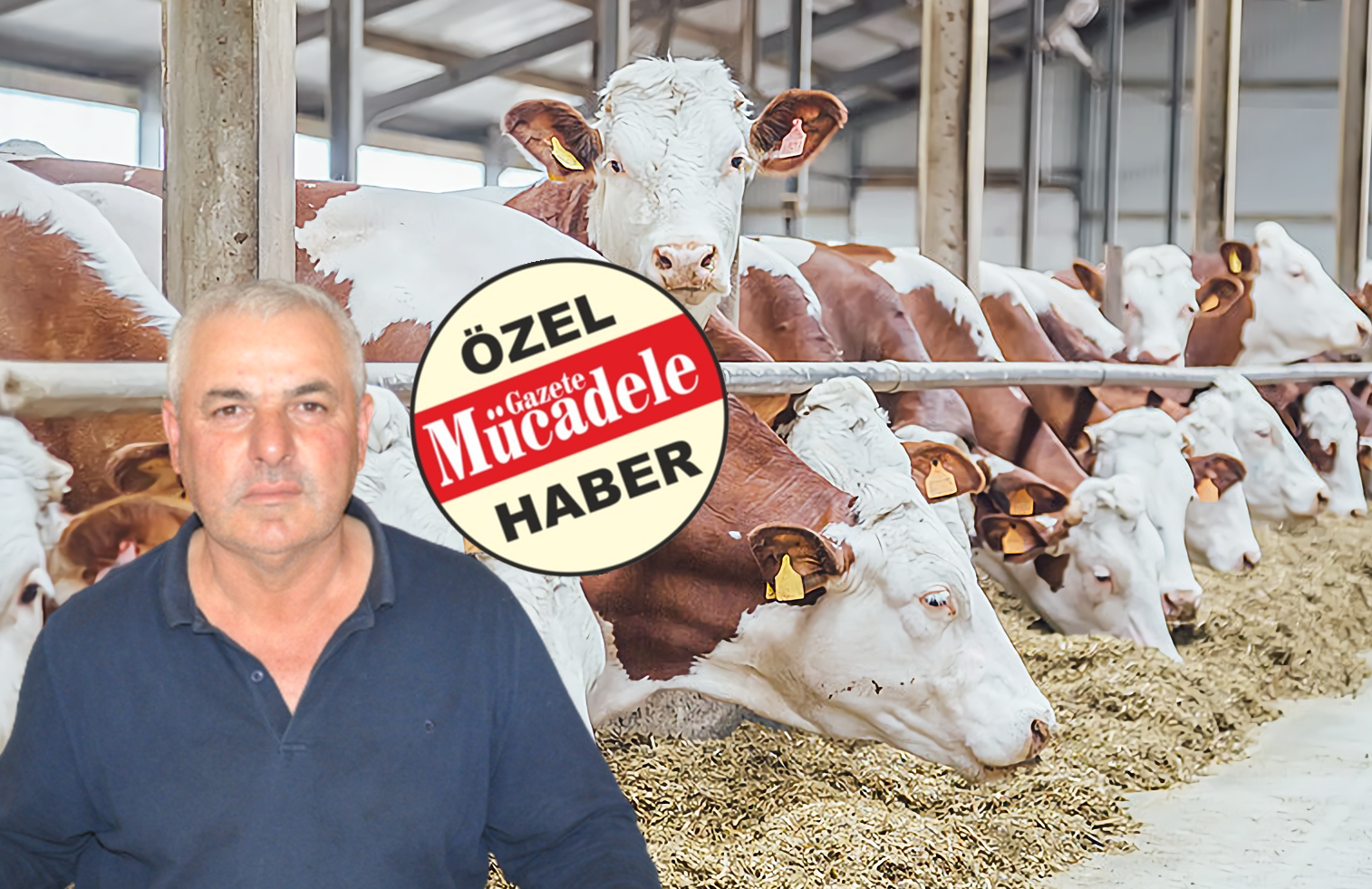 HAYVANCILIKTA GERİLEME DÖNEMİ