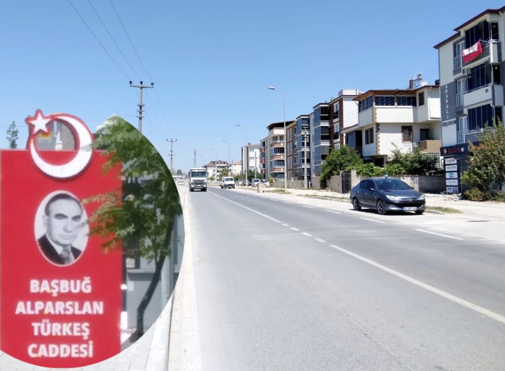 ALPARSLAN TÜRKEŞ CADDESİNE HIZ KESİCİ TALEBİ