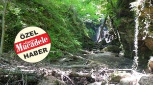 DAĞPINAR ŞELALESİ İLGİ BEKLİYOR