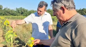 EKİLİ ALANLAR BÜYÜK ORANDA İLAÇLANDI