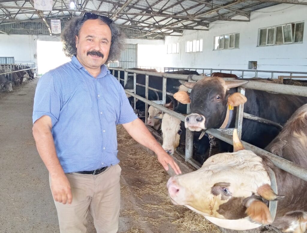 KESİM YERLERİ BELİRLENDİ, SATIŞLAR SÜRÜYOR