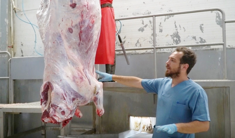 UYGULAMALI KURBAN KESİM EĞİTİMİ