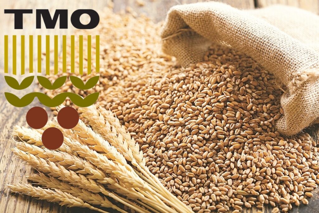 TMO PRİM DESTEĞİ BELLİ OLDU