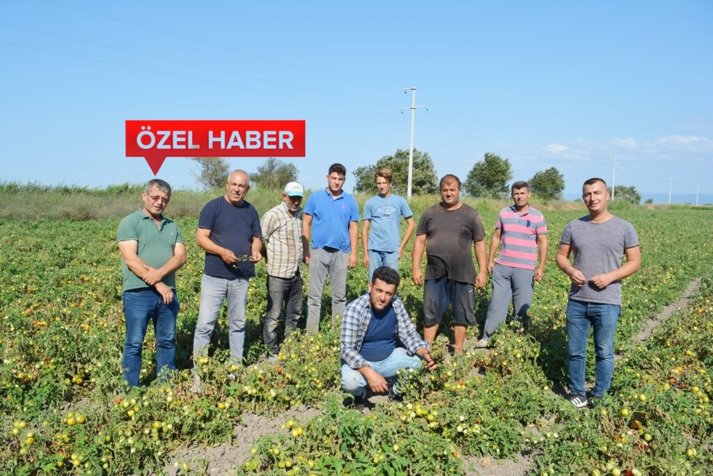 ÇİFTÇİNİN ‘BOR’ İSYANI CİMER’E TAŞINDI