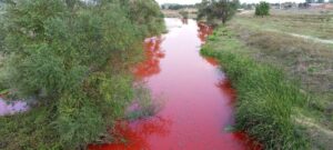 KARAPÜRÇEK DERESİ’NE TARIM İLACI KARIŞTI