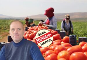 SALÇA FABRİKALARINA ÇAĞRI