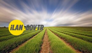 BEHRAM’DA MAHKEMEDEN SATILIK TARLA