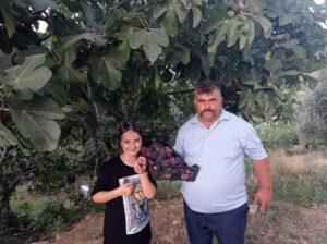 SİYAH İNCİRE BÜYÜKŞEHİR DESTEĞİ