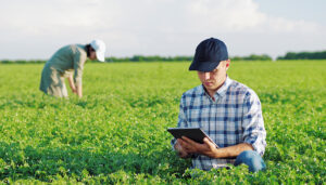 ÇKS BAŞVURULARI YENİ DEĞİŞİKLİKLERLE BAŞLADI