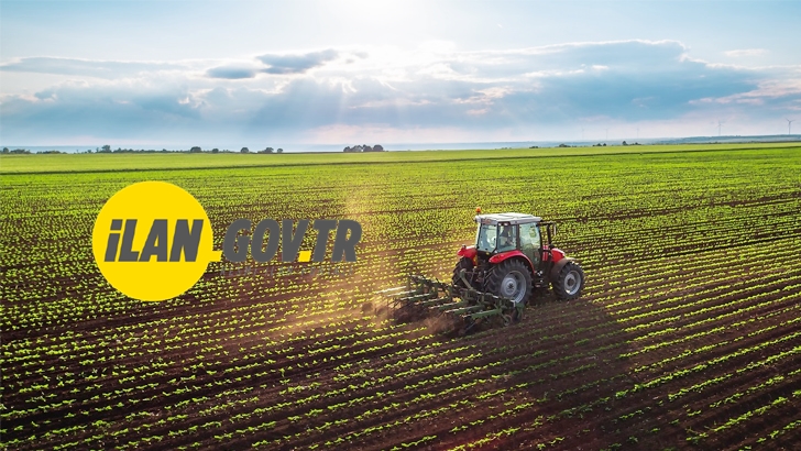 GÜLLÜCE VE ÇELTİKÇİ’DE MAHKEMEDEN SATILIK TARLA