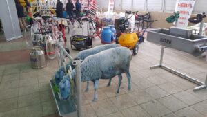 HAYVANCILIK VE TEKNOLOJİ FESTİVALDE BULUŞACAK