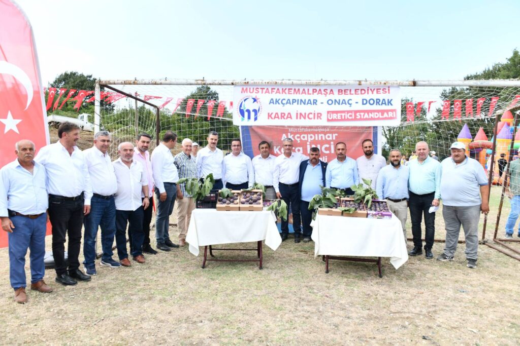 HEDEF, MARKA İNCİR