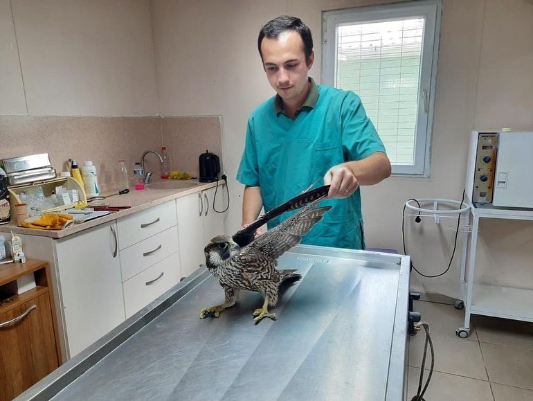 SAÇMALAR TEMİZLENDİ, SAĞLIĞINA KAVUŞTU