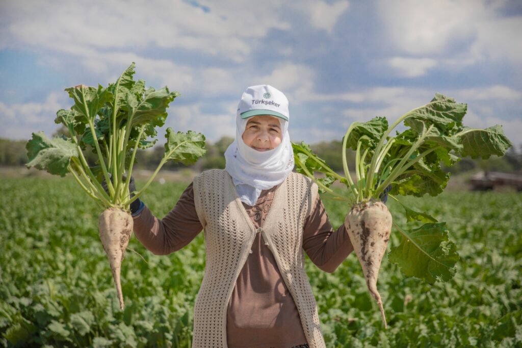 ŞEKER PANCARINDA FİYAT BELİRLENDİ