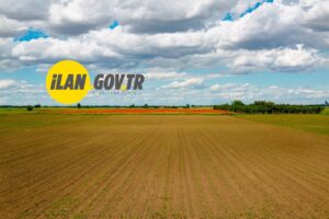 ALİSEYDİ MAHALLESİ’NDE 5 ADET TAŞINMAZ SATIŞI