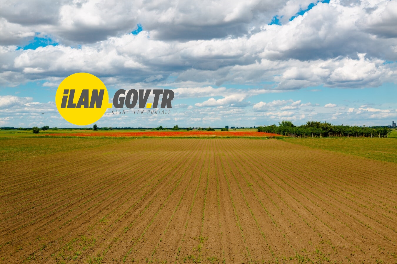 ALİSEYDİ MAHALLESİ’NDE 5 ADET TAŞINMAZ SATIŞI