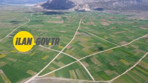 GÜLLÜCE’DE MAHKEMEDEN SATILIK TARLALAR