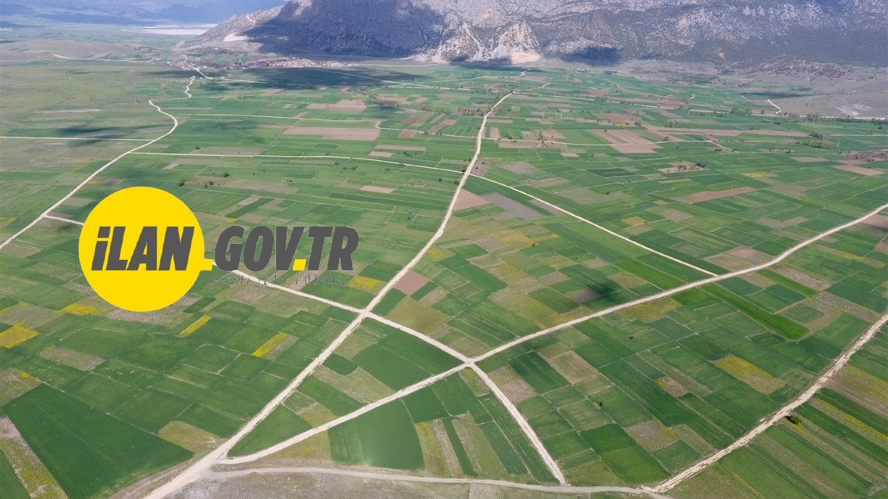 GÜLLÜCE’DE MAHKEMEDEN SATILIK TARLALAR