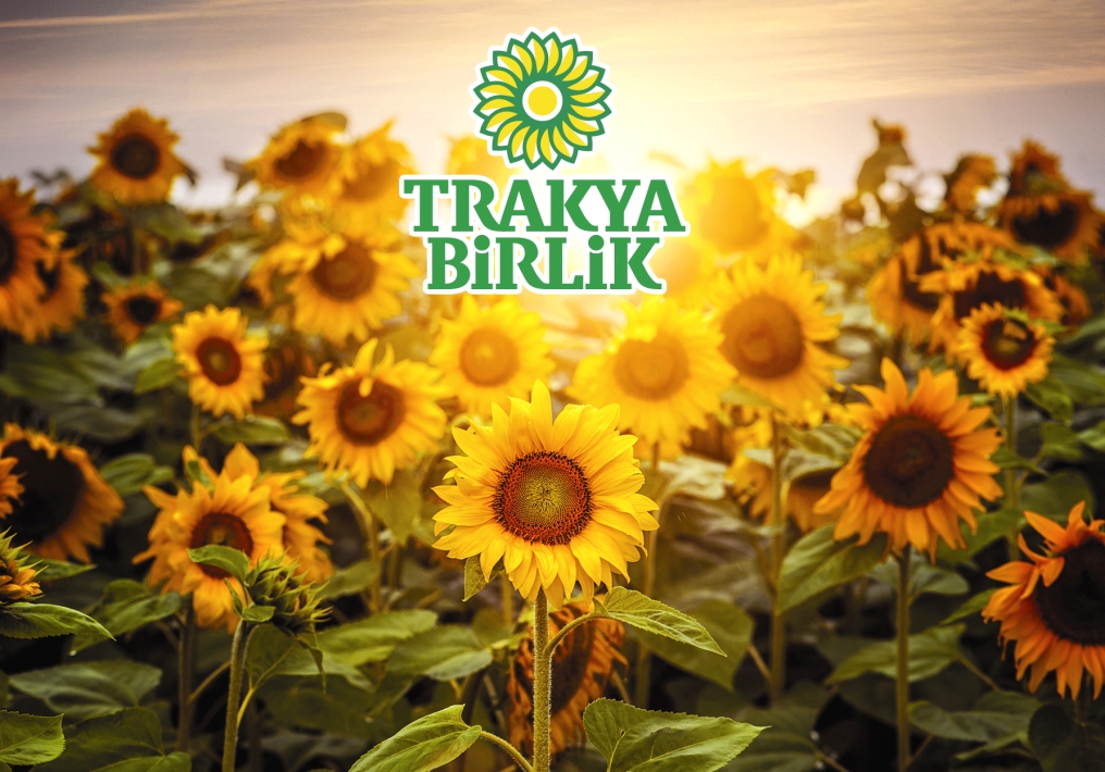 YAĞLI TOHUMLAR TARIM SATIŞ KOOPERATİFİ’NDEN OLAĞAN GENEL KURUL ÇAĞRISI