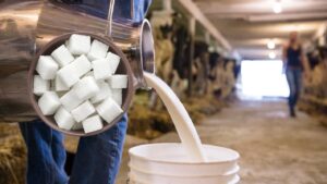 ÇİĞ SÜT VE ŞEKERE ZAM