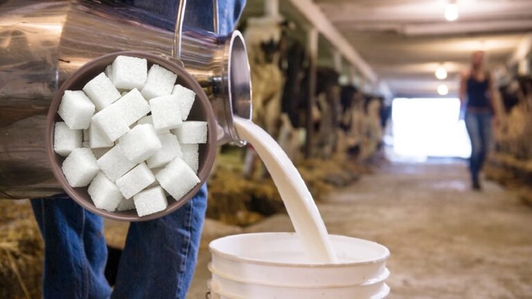 ÇİĞ SÜT VE ŞEKERE ZAM