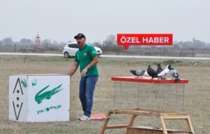 GÜVERCİNLERİN PERFORMANSI PARMAK ISIRTTI