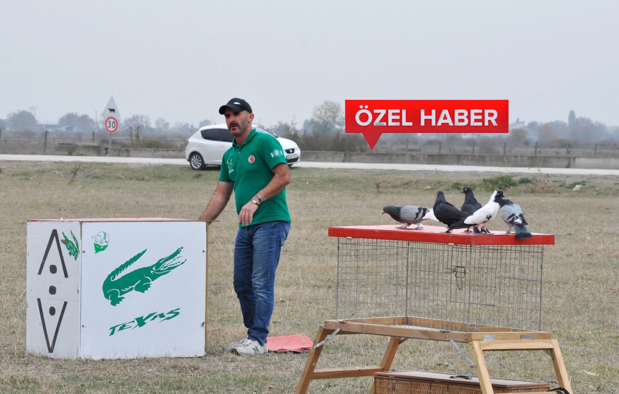 GÜVERCİNLERİN PERFORMANSI PARMAK ISIRTTI