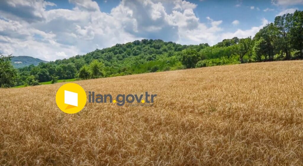 GÜNDOĞDU’DA MAHKEMEDEN SATILIK TARLALAR