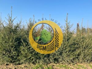 ORMANLAR İÇİN YENİ YIL ÖNLEMİ