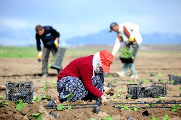 TARIMDA KÖKLÜ DEĞİŞİKLİK