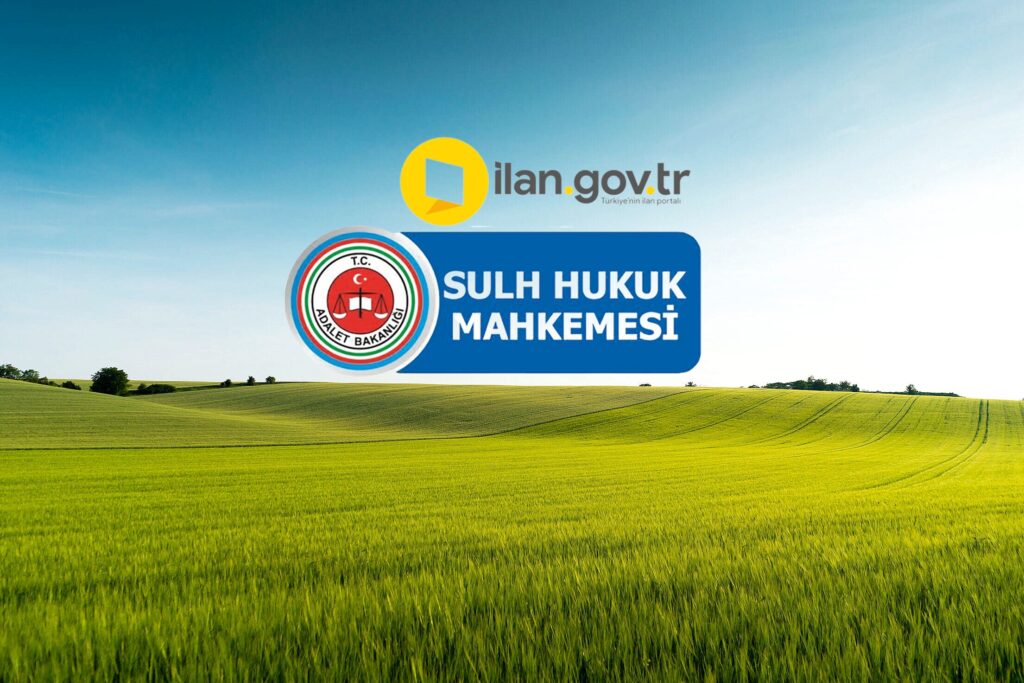 TAŞPINAR’DA MAHKEMEDEN SATILIK TARLA