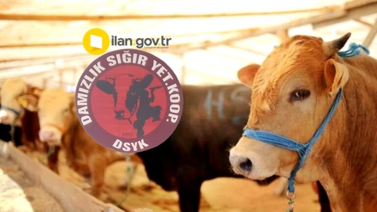 DAMIZLIK SIĞIR YETİŞTİRİCİLİĞİ KOOPERATİFİ KONGREYE GİDİYOR