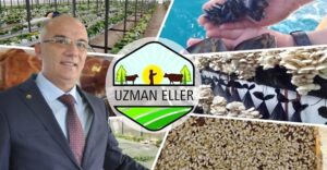 UZMAN ELLER PROJELERİ İÇİN BAŞVURULAR BAŞLADI