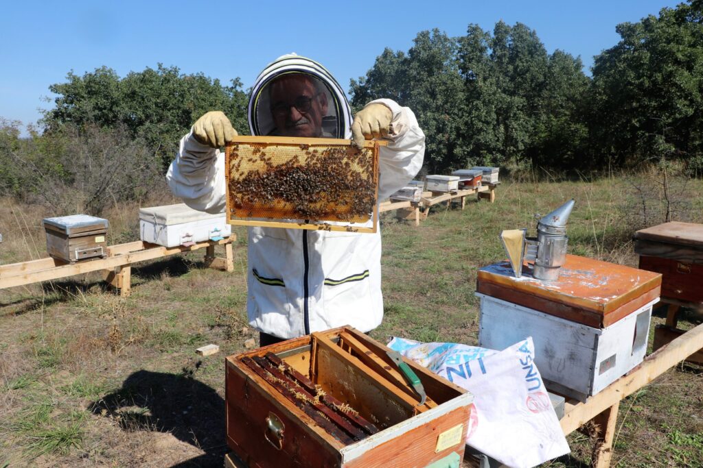BAL ORMANI SAYISI ARTIYOR