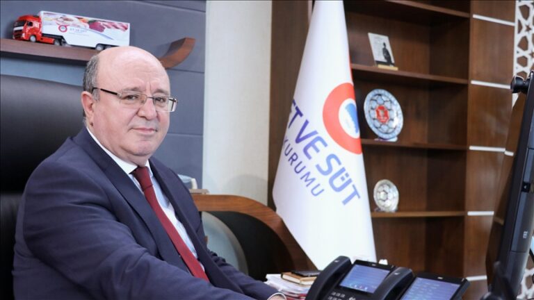 BESİ ÇİFTLİĞİ HAMLESİ