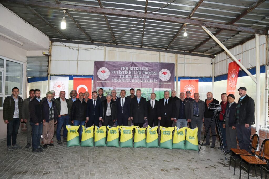 KABA YEM İHTİYACINA SORGUM OTU DESTEĞİ